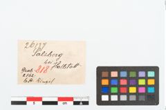 Etikett zu Bronzering (NHMW-PRAE-026137)
